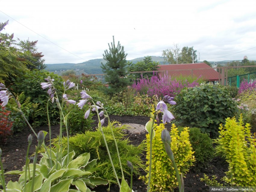 Звери, птицы и цветы (продолжение)