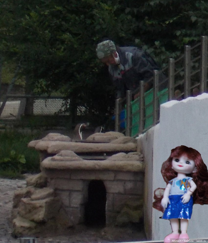 Звери, птицы и цветы (продолжение)