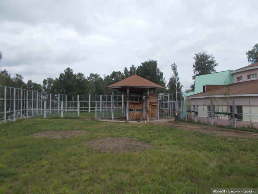 Звери, птицы и цветы (продолжение) (фото 9)