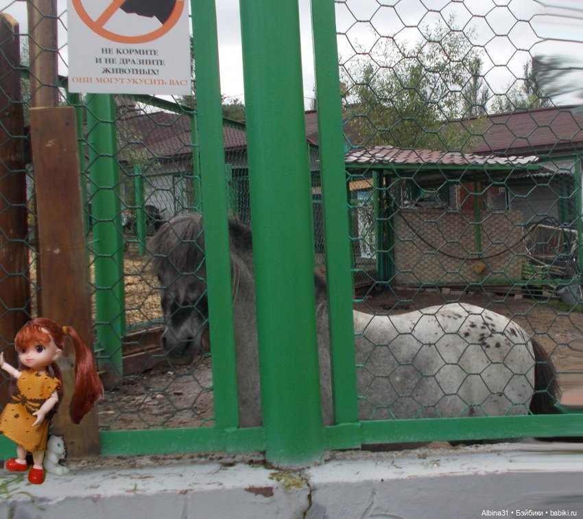 Звери, птицы и цветы (продолжение) (фото 4)