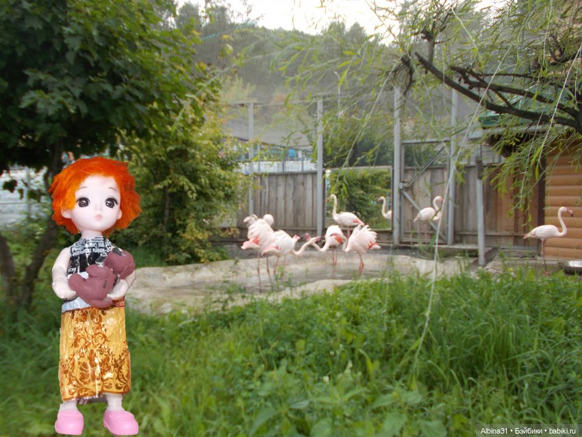 Звери, птицы и цветы (продолжение)