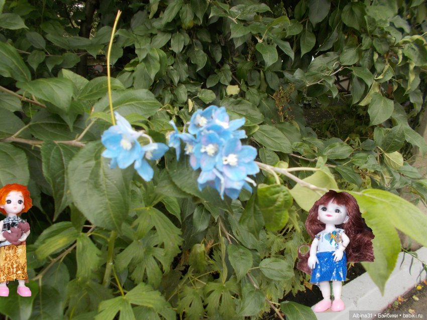 Звери, птицы и цветы (продолжение)