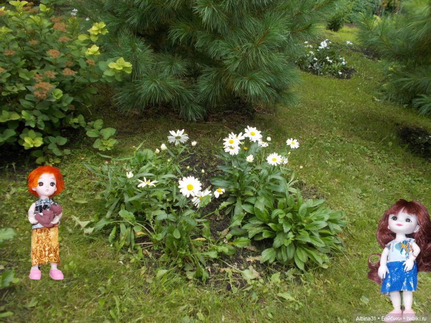 Звери, птицы и цветы (продолжение)