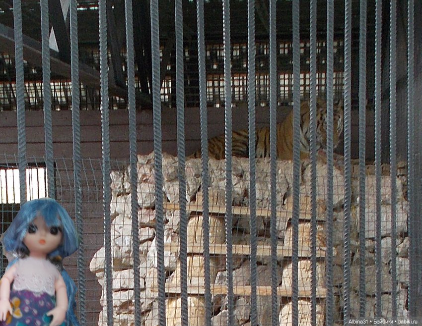 Звери, птицы и цветы (продолжение)