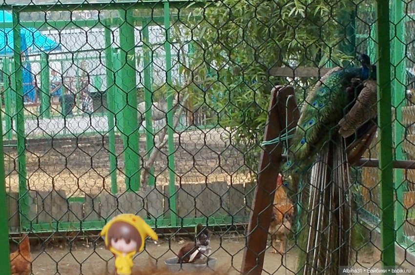 Звери, птицы и цветы (продолжение) (фото 3)