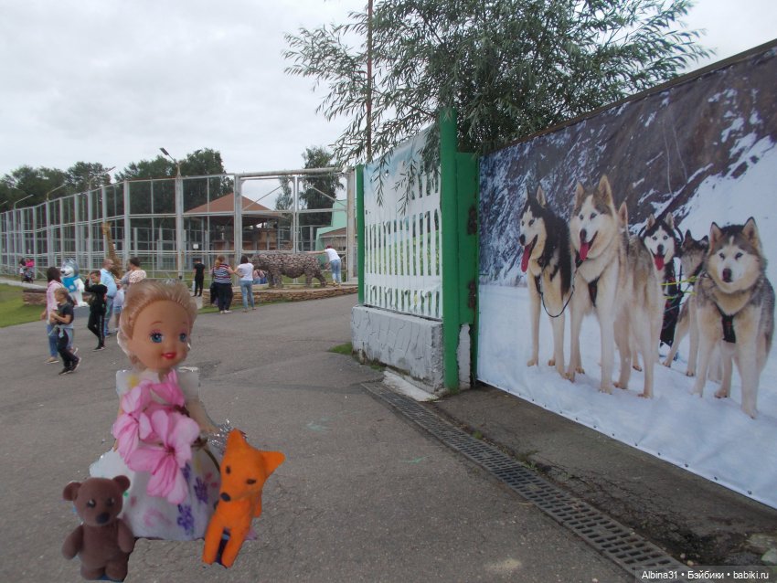 Звери, птицы и цветы (продолжение)