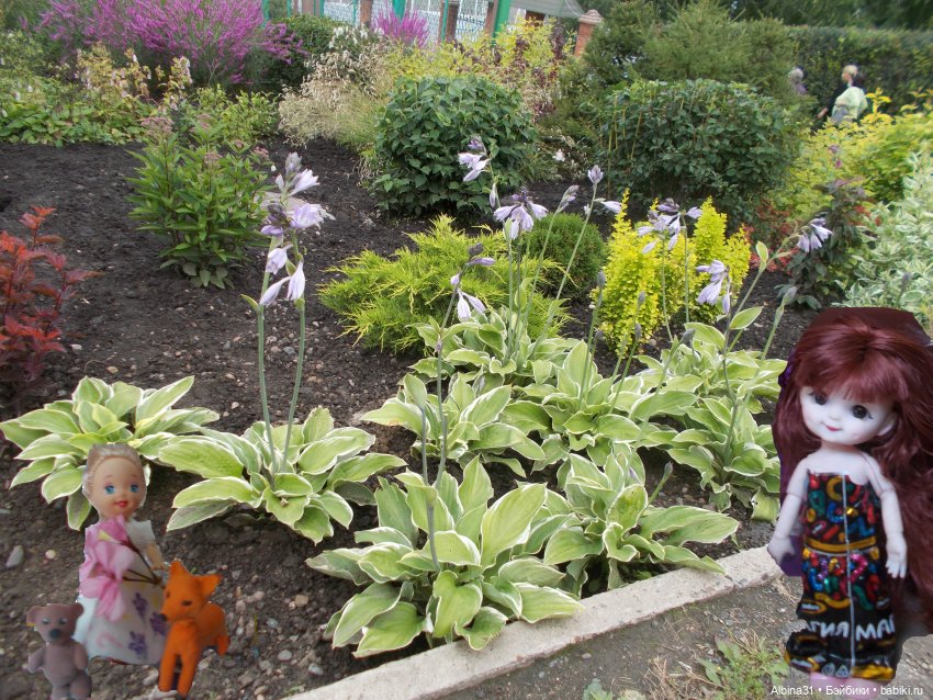 Звери, птицы и цветы (продолжение)