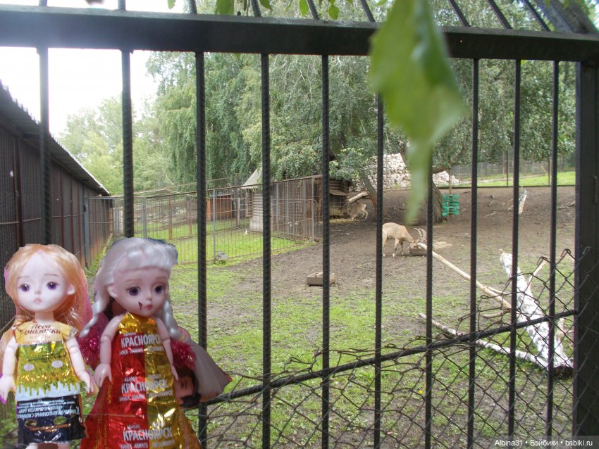 Звери, птицы и цветы (окончание) (фото 4)