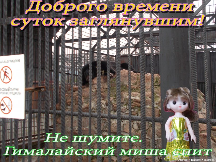 Звери, птицы и цветы (окончание)