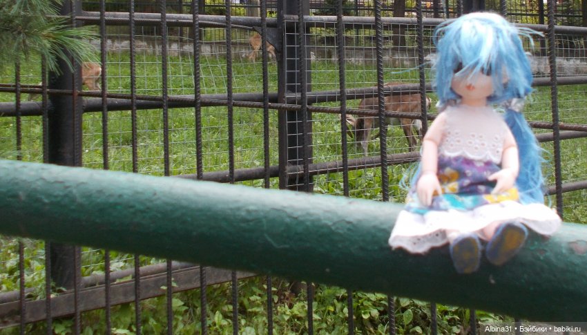 Звери, птицы и цветы (окончание) (фото 10)