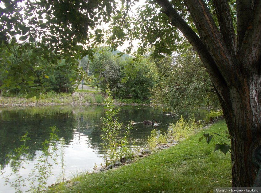 Звери, птицы и цветы (окончание)