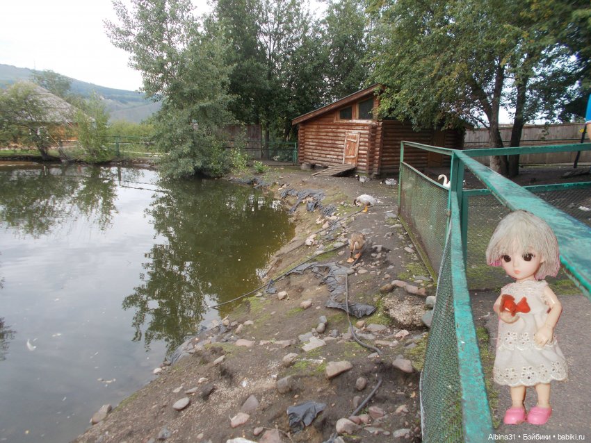 Звери, птицы и цветы (окончание)