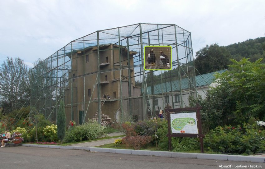 Звери, птицы и цветы (окончание)