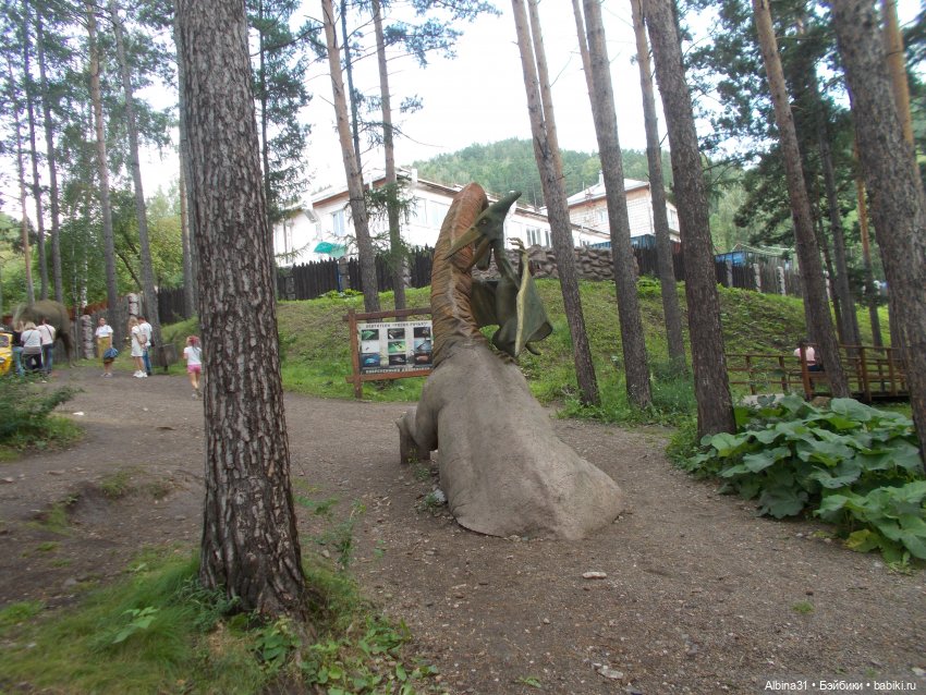 Звери, птицы и цветы (окончание)