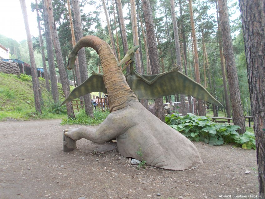 Звери, птицы и цветы (окончание)