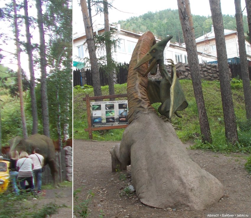 Звери, птицы и цветы (окончание)