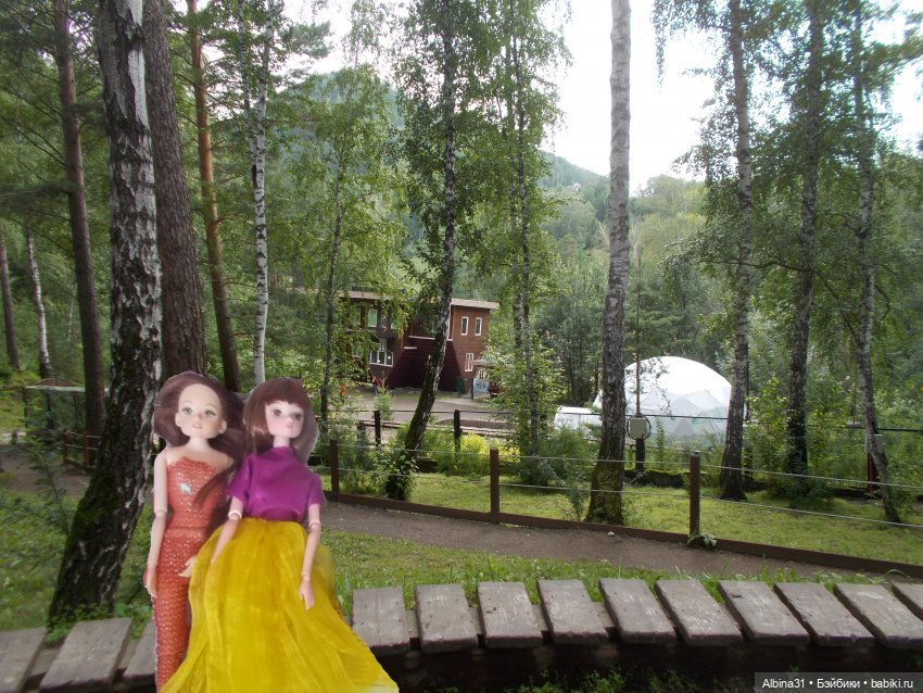 Звери, птицы и цветы (окончание)