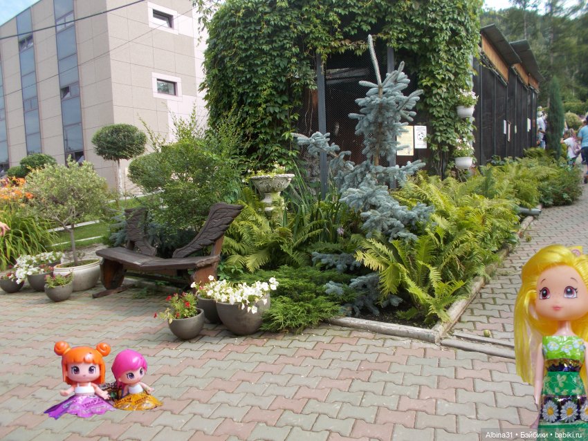 Звери, птицы и цветы (окончание)