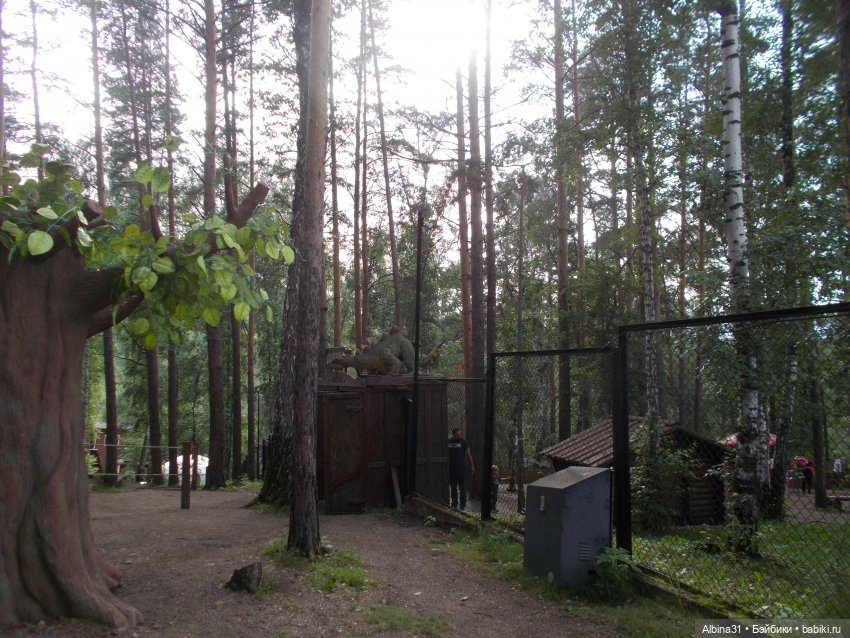 Звери, птицы и цветы (окончание)