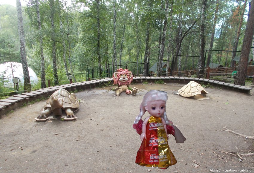 Звери, птицы и цветы (окончание)