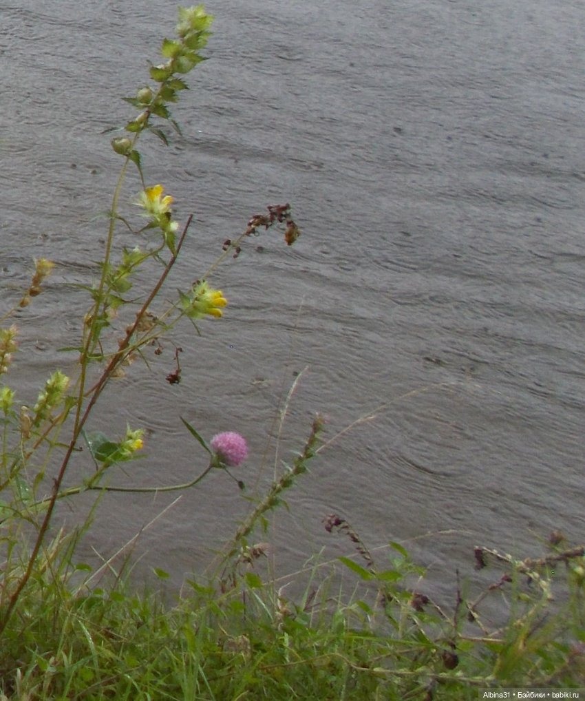 Прогулки и просто куклы — Куклы Baboliy (Баболи