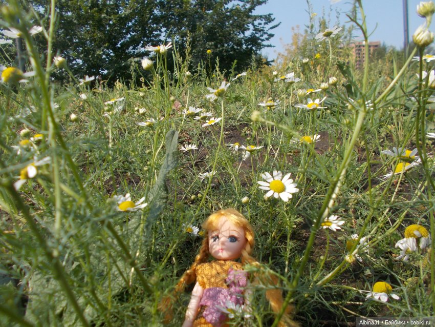 Прогулки и просто куклы — Куклы Baboliy (Баболи (фото 2)