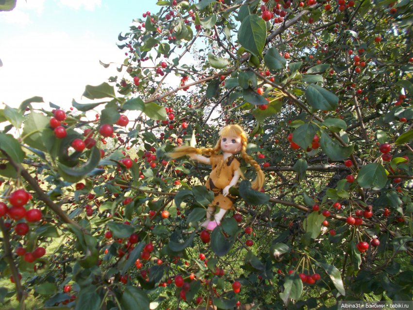 Прогулки и просто куклы — Куклы Baboliy (Баболи