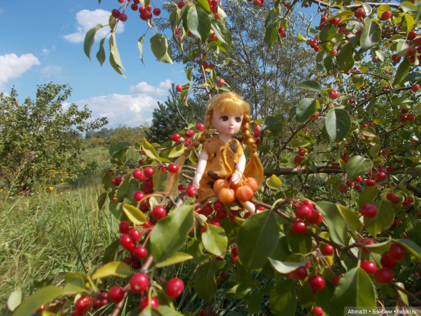 Прогулки и просто куклы — Куклы Baboliy (Баболи