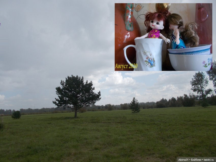 Прогулки и просто куклы — Куклы Baboliy (Баболи (фото 8)