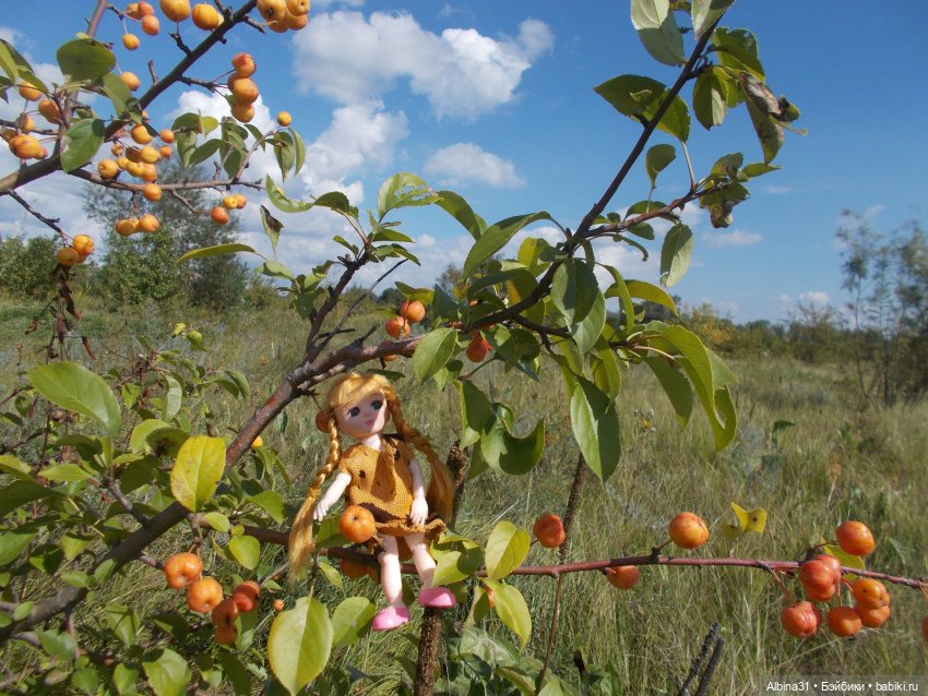 Прогулки и просто куклы — Куклы Baboliy (Баболи