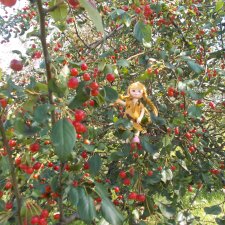 Прогулки и просто куклы