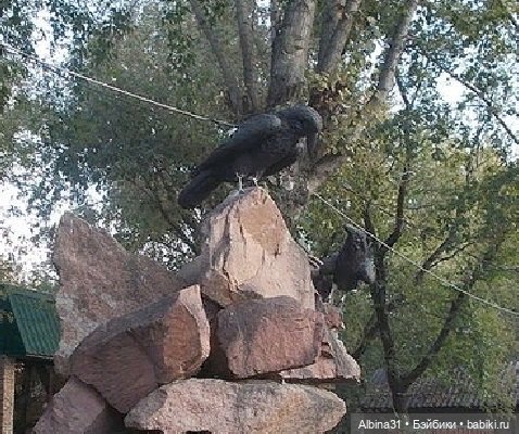 Городские зарисовки, сентябрь 2020