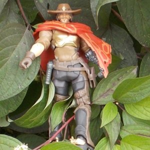 По компьютерной игре Overwatch