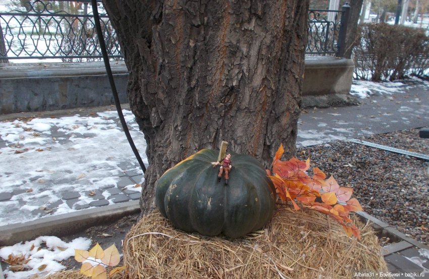 Городские зарисовки с бойцами
