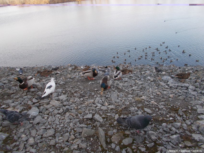 Городские зарисовки с бойцами