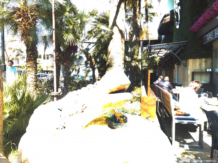 Просто Сочи — Туризм и путешествия: фотоотчеты из поездок