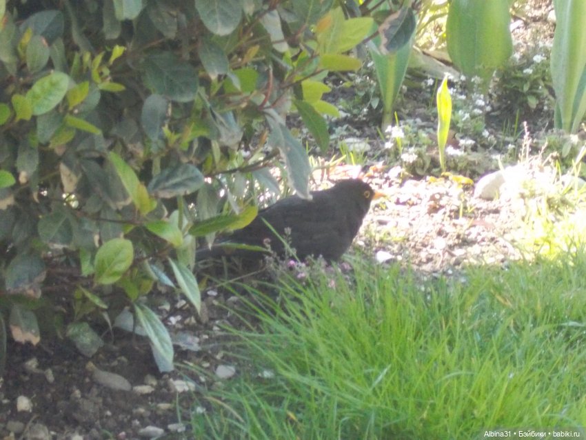 Просто Сочи — Туризм и путешествия: фотоотчеты из поездок