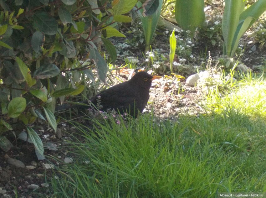 Просто Сочи — Туризм и путешествия: фотоотчеты из поездок