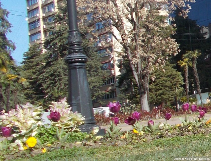 Просто Сочи — Туризм и путешествия: фотоотчеты из поездок