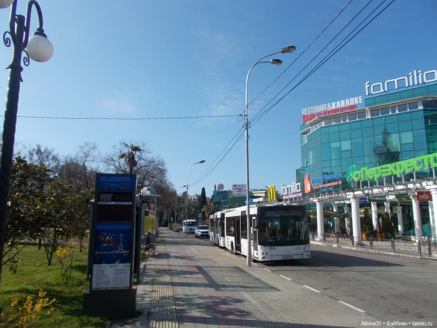 Просто Сочи — Туризм и путешествия: фотоотчеты из поездок (фото 3)
