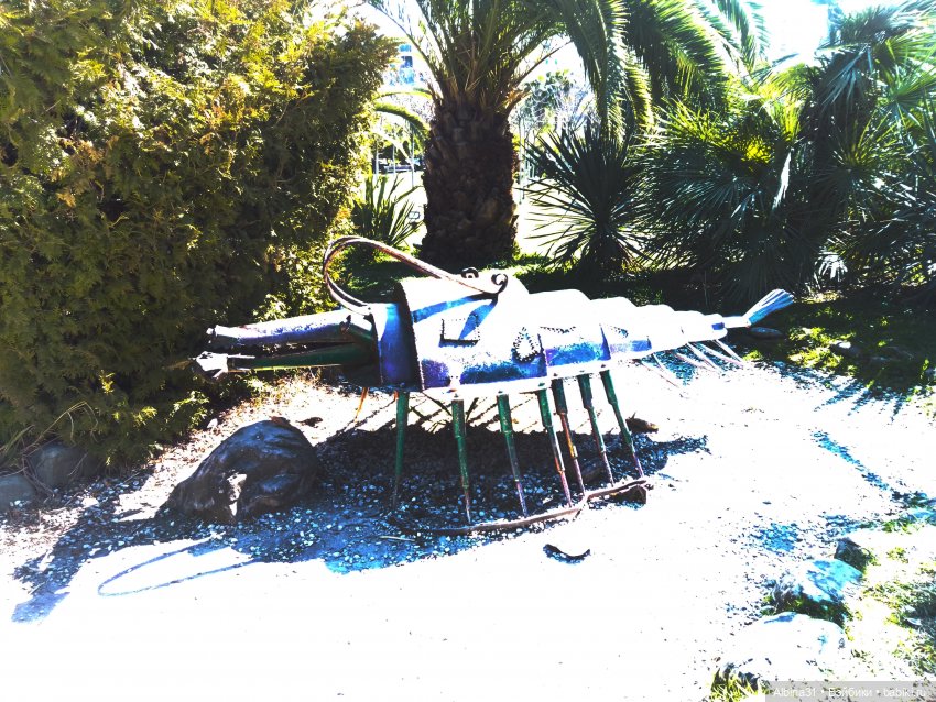 Просто Сочи — Туризм и путешествия: фотоотчеты из поездок