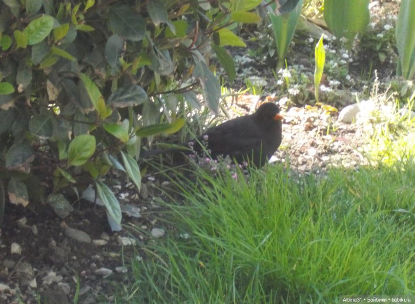 Просто Сочи — Туризм и путешествия: фотоотчеты из поездок