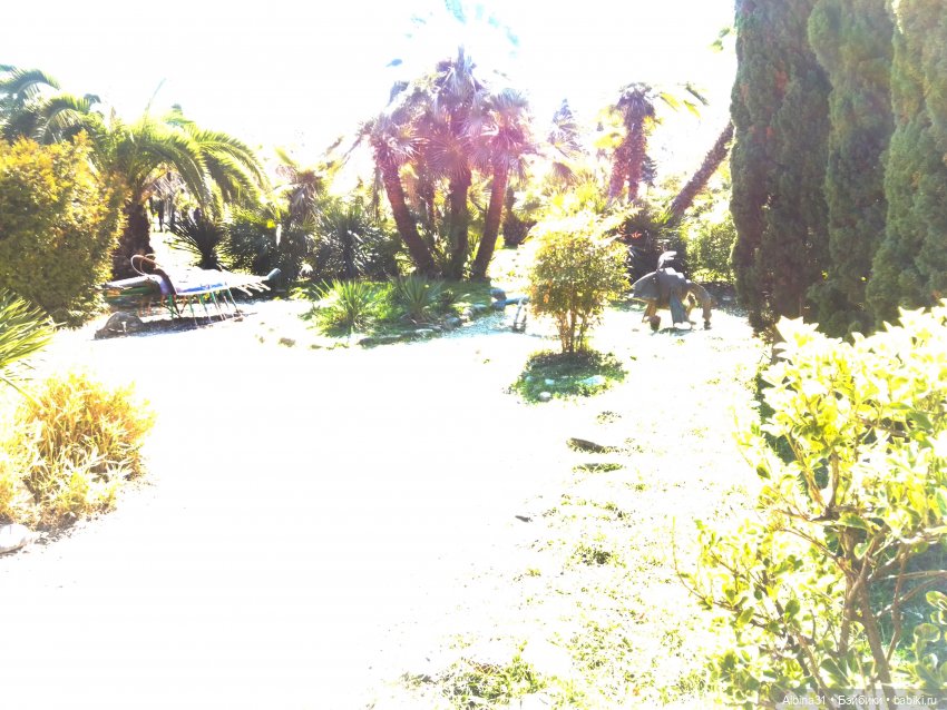 Просто Сочи — Туризм и путешествия: фотоотчеты из поездок