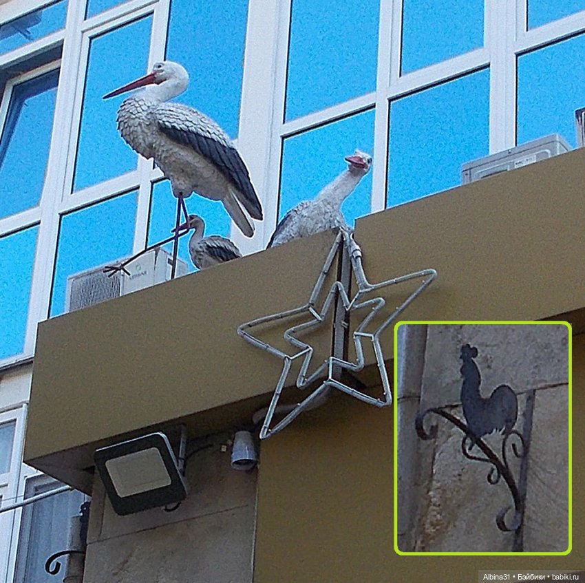 Просто Сочи. Продолжение — Туризм и путешествия: фотоотчеты из поездок