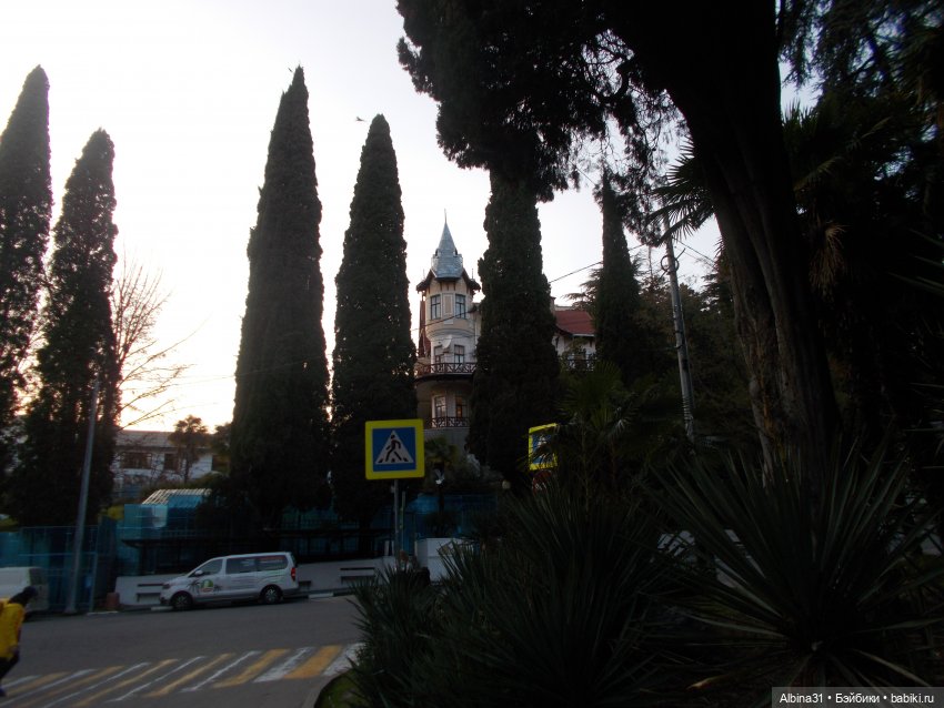 Просто Сочи. Продолжение — Туризм и путешествия: фотоотчеты из поездок