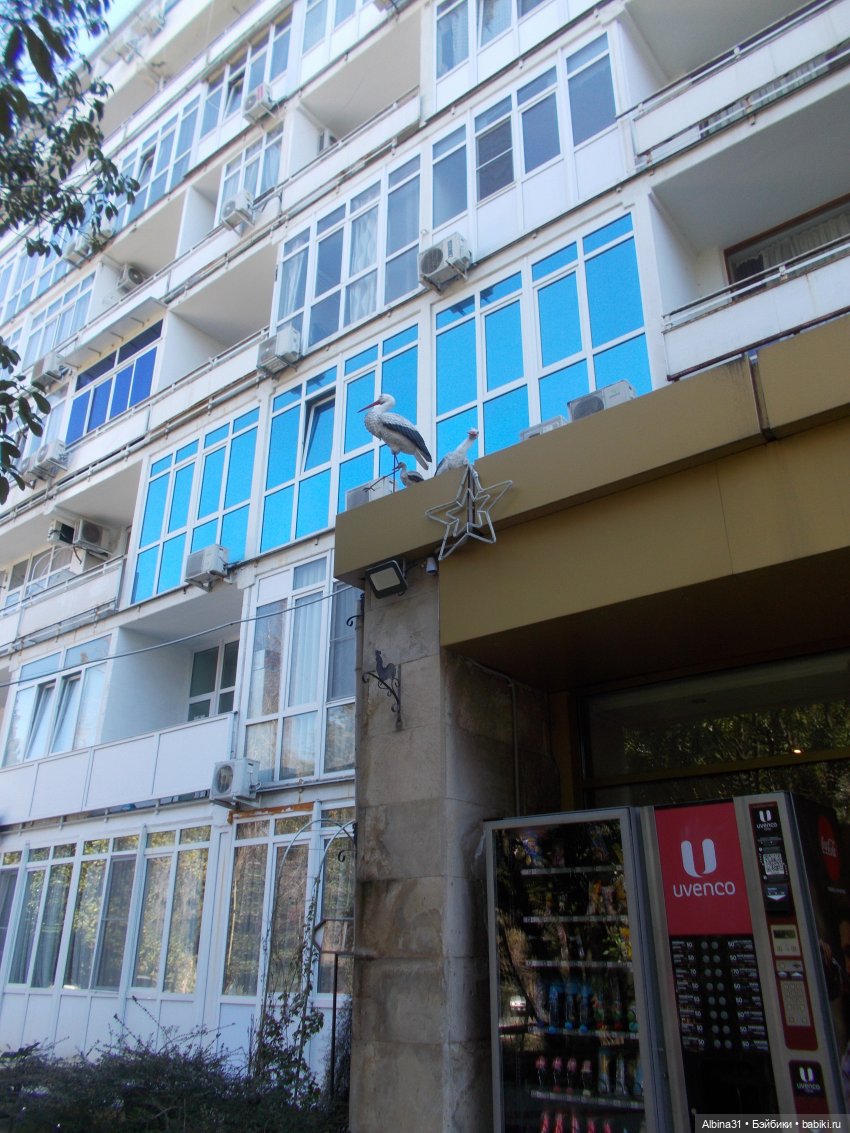 Просто Сочи. Продолжение — Туризм и путешествия: фотоотчеты из поездок