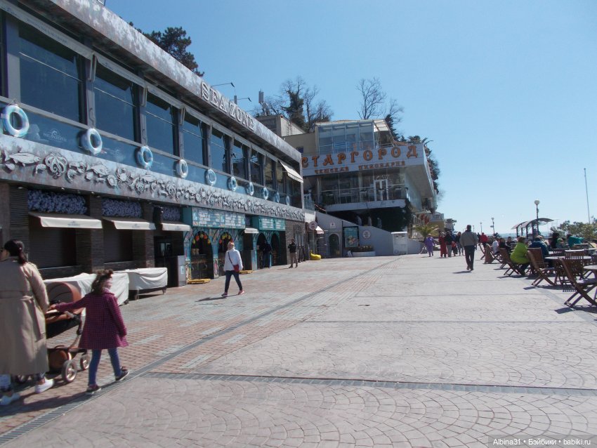 Просто Сочи. Продолжение — Туризм и путешествия: фотоотчеты из поездок