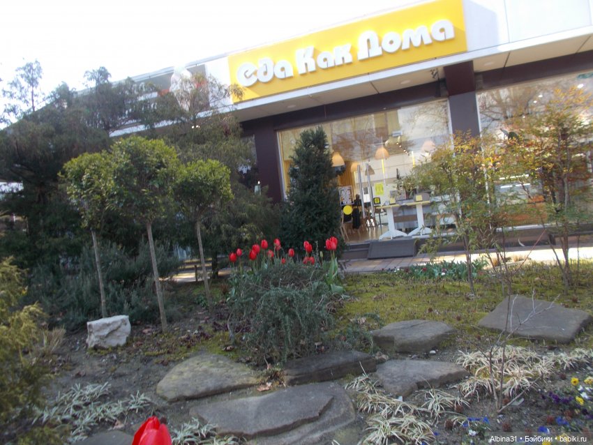 Просто Сочи. Продолжение — Туризм и путешествия: фотоотчеты из поездок