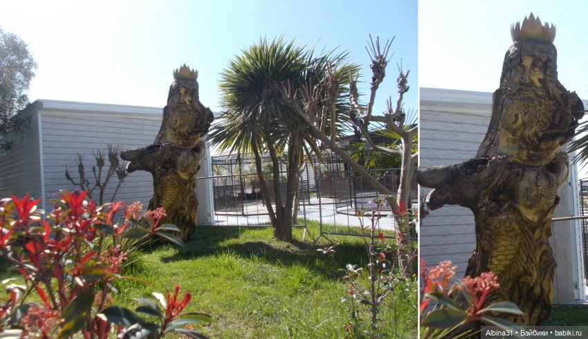 Просто Сочи. Продолжение — Туризм и путешествия: фотоотчеты из поездок