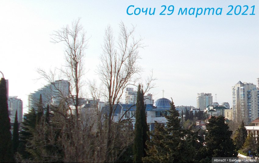 Просто Сочи. Продолжение — Туризм и путешествия: фотоотчеты из поездок